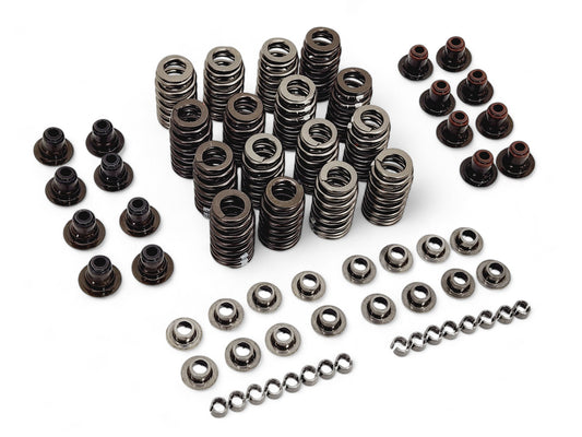 Valve Springs Seals Caps Retainers Keepers removed from low mile LS7 Engine OEM GM